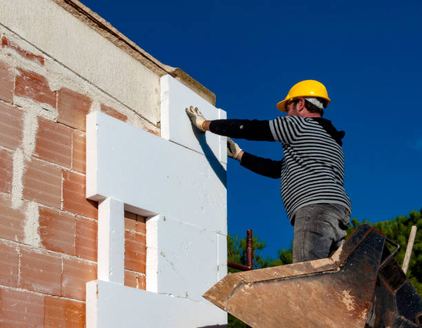 Best Fiberglass Insulation in Fairview Shores, FL