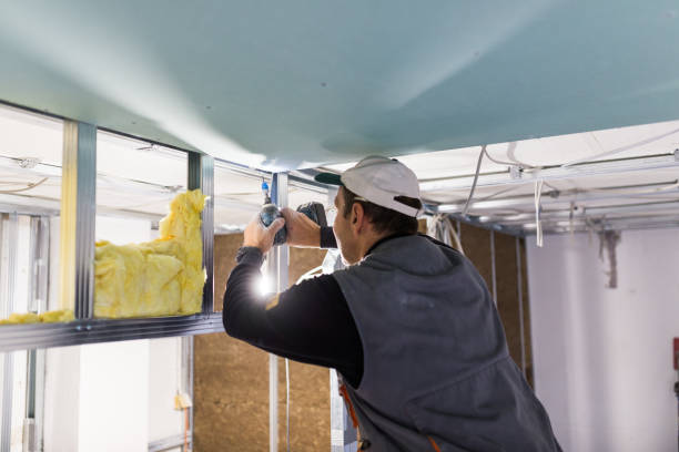 Best Geographic-Specific Insulation Services in Fairview Shores, FL
