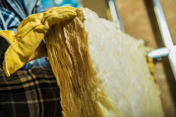 Best Geographic-Specific Insulation Services in Fairview Shores, FL