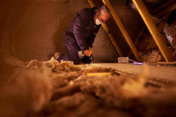 Best Insulation for Specific Applications in Fairview Shores, FL